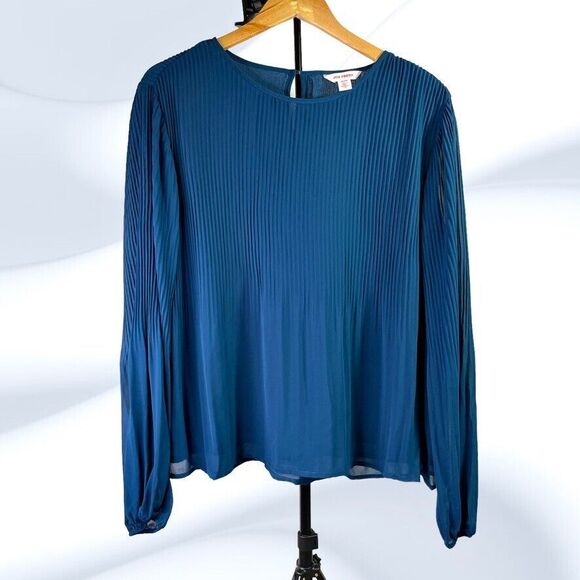 Joe Fresh Womens NWT Blue Lined Sheer Long Sleeve Fadeout Pleat Top Size XL - Picture 1 of 10